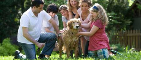 Εχινόκοκκος | Προστάτεψε τον σκύλο και την οικογένεια σου