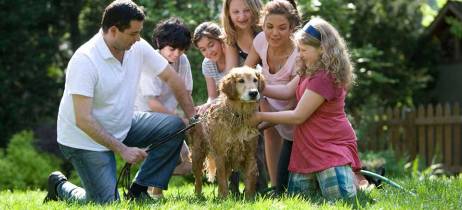 Εχινόκοκκος | Προστάτεψε τον σκύλο και την οικογένεια σου