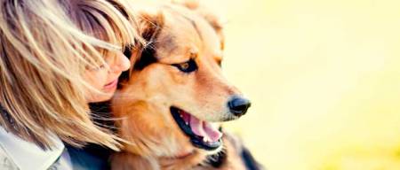 Έρευνα | Χαρούμενος ή θυμωμένος, ο σκύλος σας μπορεί να το καταλάβει