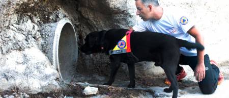 Σκύλοι Έρευνας και Διάσωσης Aγνοουμένων Α' μέρος