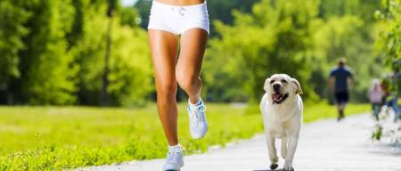 Κάνετε jogging με τον σκύλο σας; Tips για ασφαλή άσκηση
