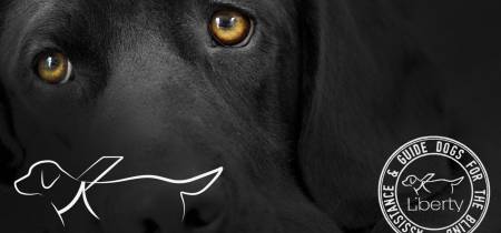Συνέντευξη με τον εμπνευστή και ιδρυτή της Liberty Assistance & Guide Dogs® Γιάννη Κονδράρο