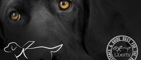 Συνέντευξη με τον εμπνευστή και ιδρυτή της Liberty Assistance & Guide Dogs® Γιάννη Κονδράρο