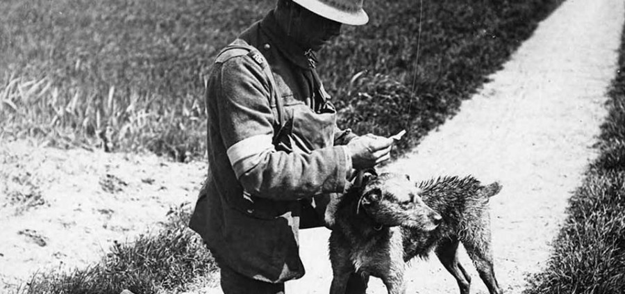 Ο ρόλος των σκύλων στο Πρώτο Παγκόσμιο Πόλεμο