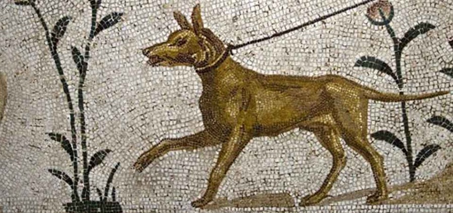 10 αρχαία ονόματα για σκύλους από την ελληνική μυθολογία