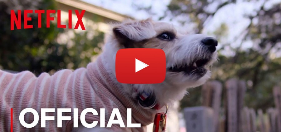 Το τρέιλερ για τη νέα σειρά του Netflix  «Dogs» θα σας φτιάξει τη μέρα! [video]